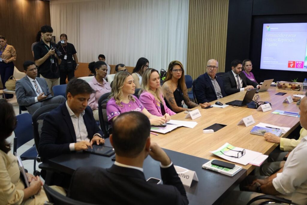 Estado avança na execução da Política de Proteção a Órfãos e Órfãs de Feminicídio